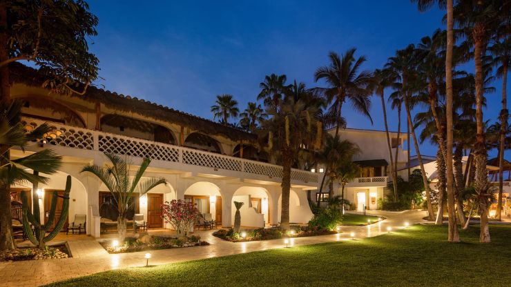Cabo Surf Hotel - Best boutique hotel in Cabo