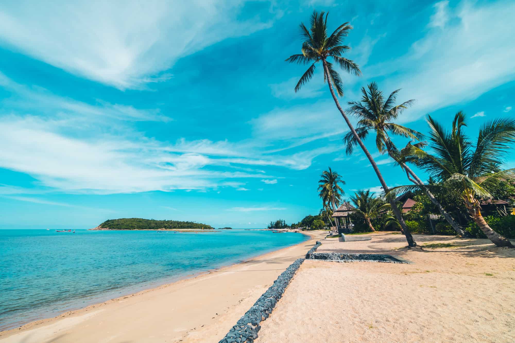 beautiful beach sea sand with coconut palm tree