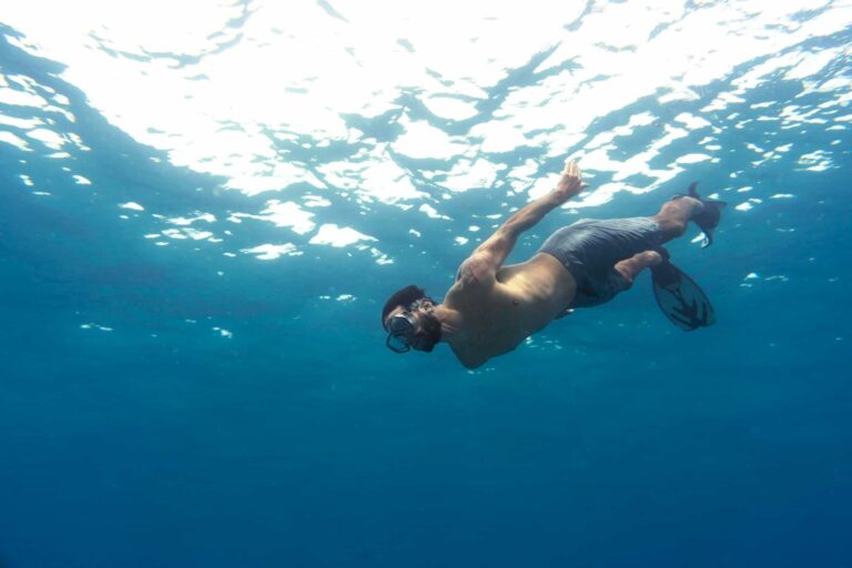 Tulum Scuba Diving: A Detailed Guide For The Best Experience tulum scuba diving