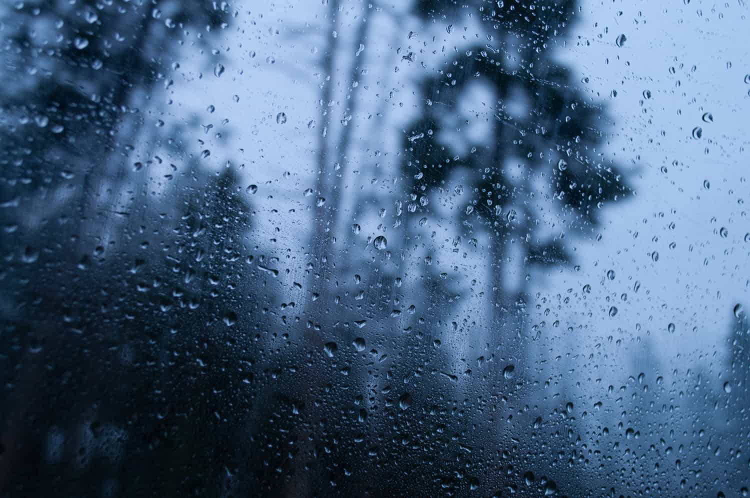 rain in Tulum