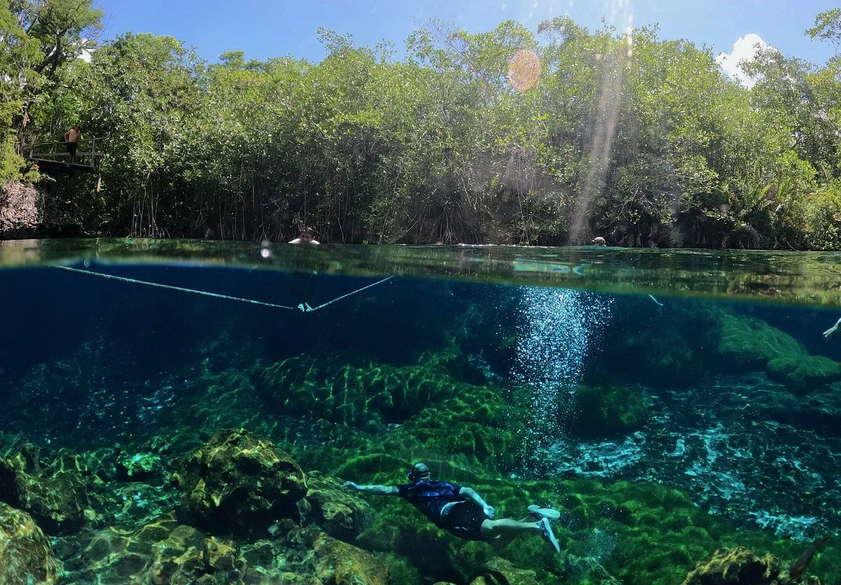 Cenotes Tour in Chemuyil