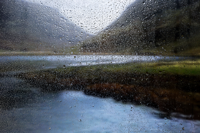 Rain effect on nature