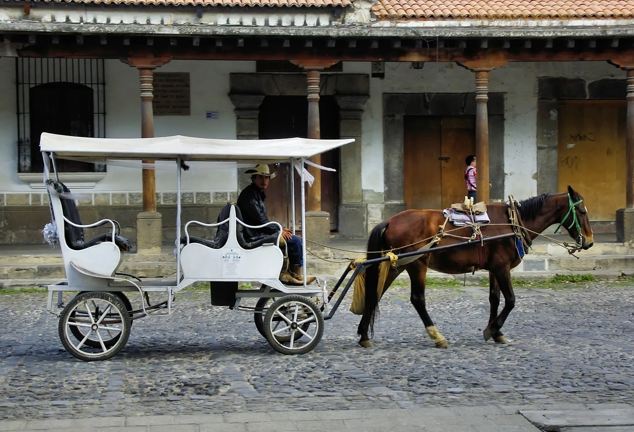 horse vehicle in Puebla
