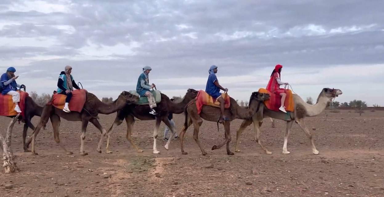 Camel riding in Marrakech