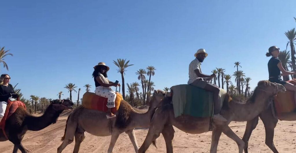 Marrakech Palm Grove Camel Ride with Sunrise Air Balloon