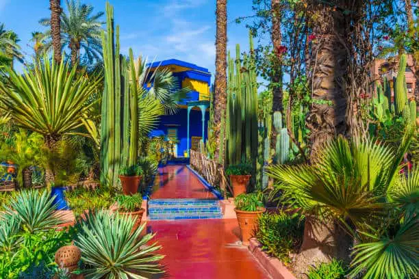 Marrakech Gardens: A Complete Guide for Nature Lovers jardin majorelle garden